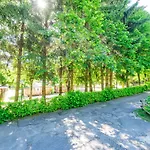 Internazionale Madonna Del Ghisallo Camping Magreglio