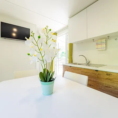 Internazionale Madonna Del Ghisallo Campeggio