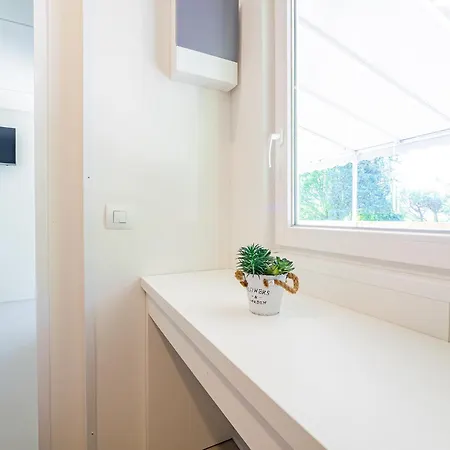 Internazionale Madonna Del Ghisallo *